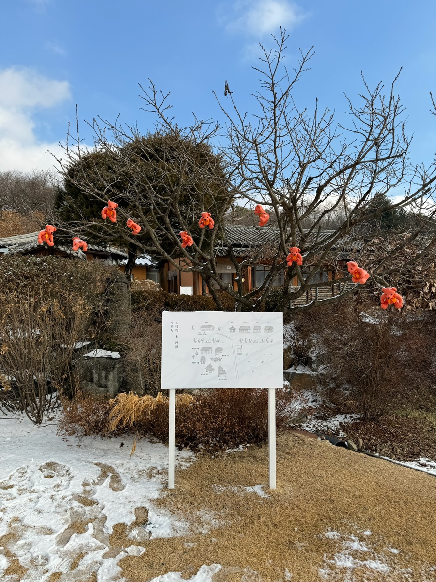 서유숙 이미지