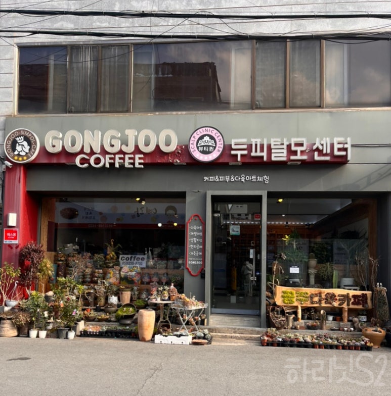 공주다육카페 이미지