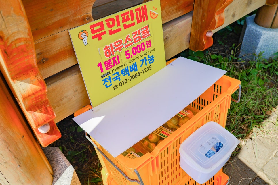 이가돈통 이미지