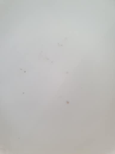 호반크린 이미지