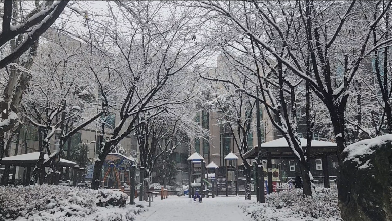 강남보석아카데미 이미지