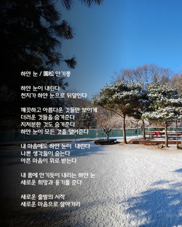 원송문학회 이미지