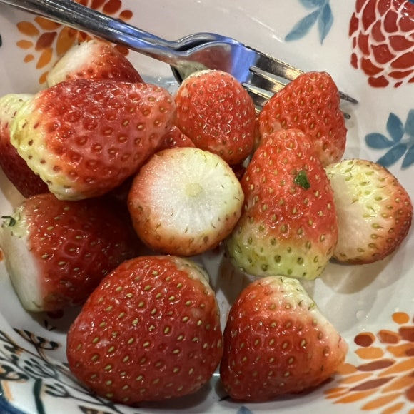 마디쪼 이미지