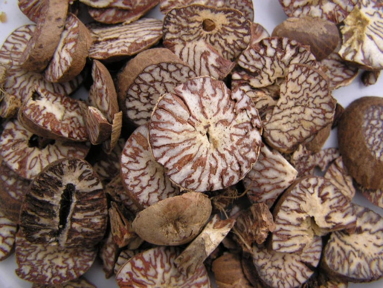 쪽빛나라 이미지