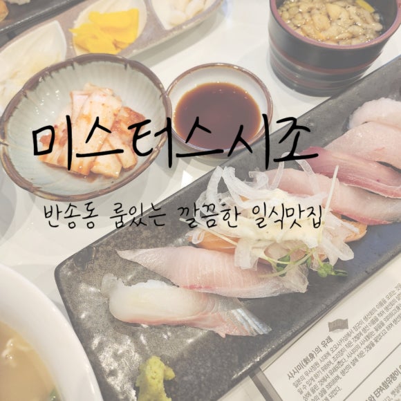 미스터 스시조 이미지
