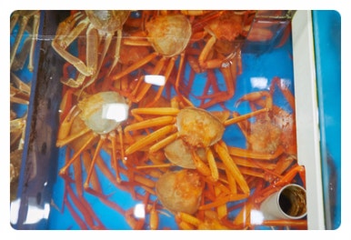 제일회센타 이미지