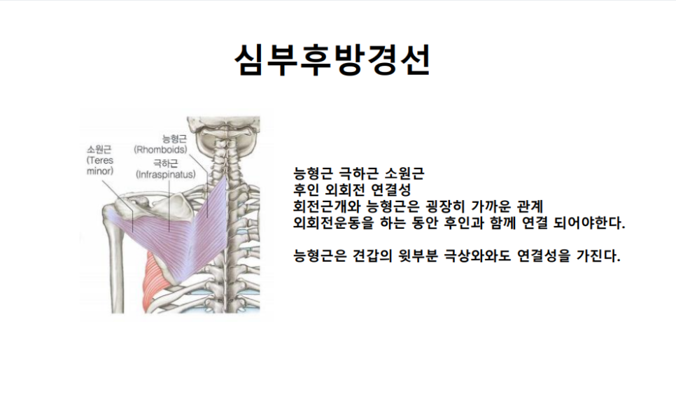 프렌드경선 이미지