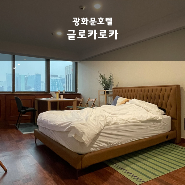 글로카로카 이미지
