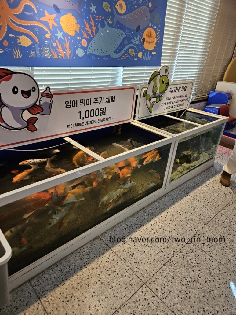 아쿠아파크 이미지