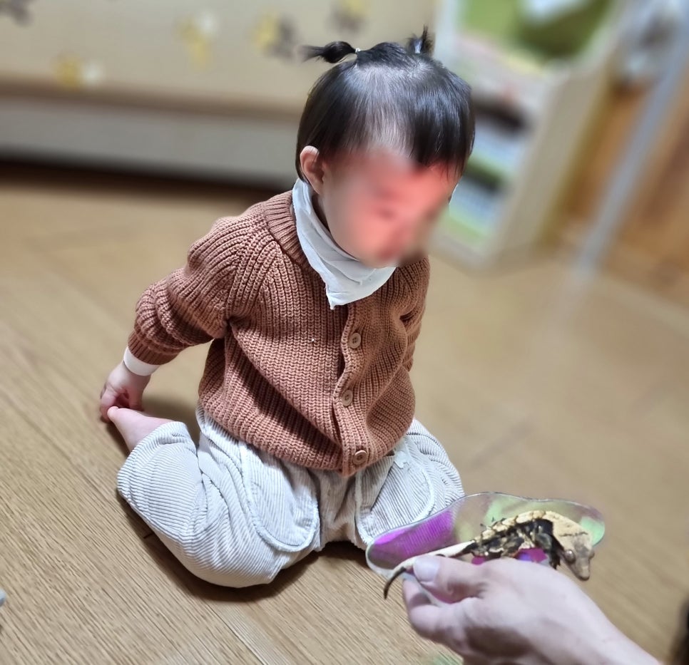 통큰아이어린이집 이미지
