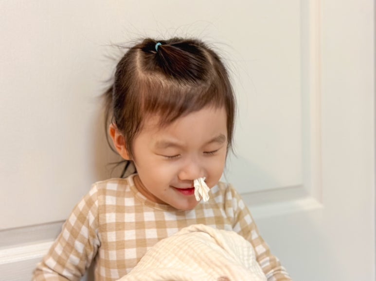 다가코가 이미지