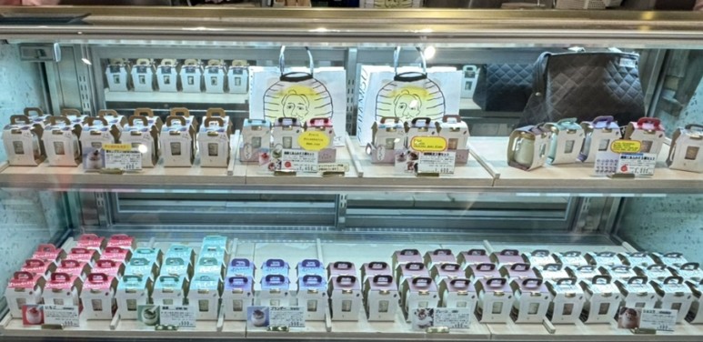 도쿄 하코네 놀거리 일본 연말 연초 크리스마스 겨울 온천 마을 여행 하코네 유모토역 현지인 맛집 리스트 해외여행지 추천 30 IMG 0965