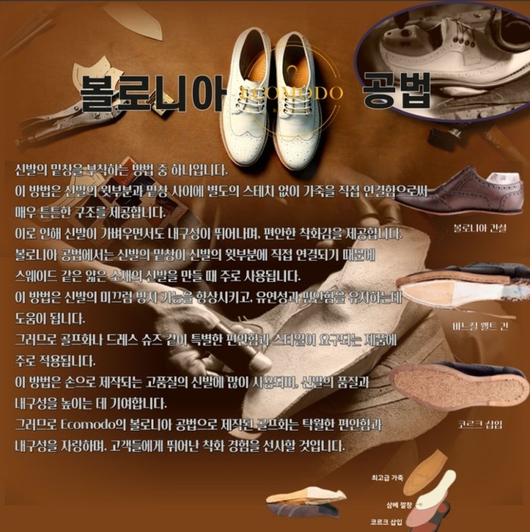 볼로니아 이미지