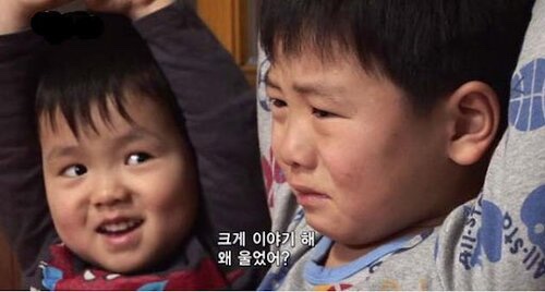 이십구 이미지