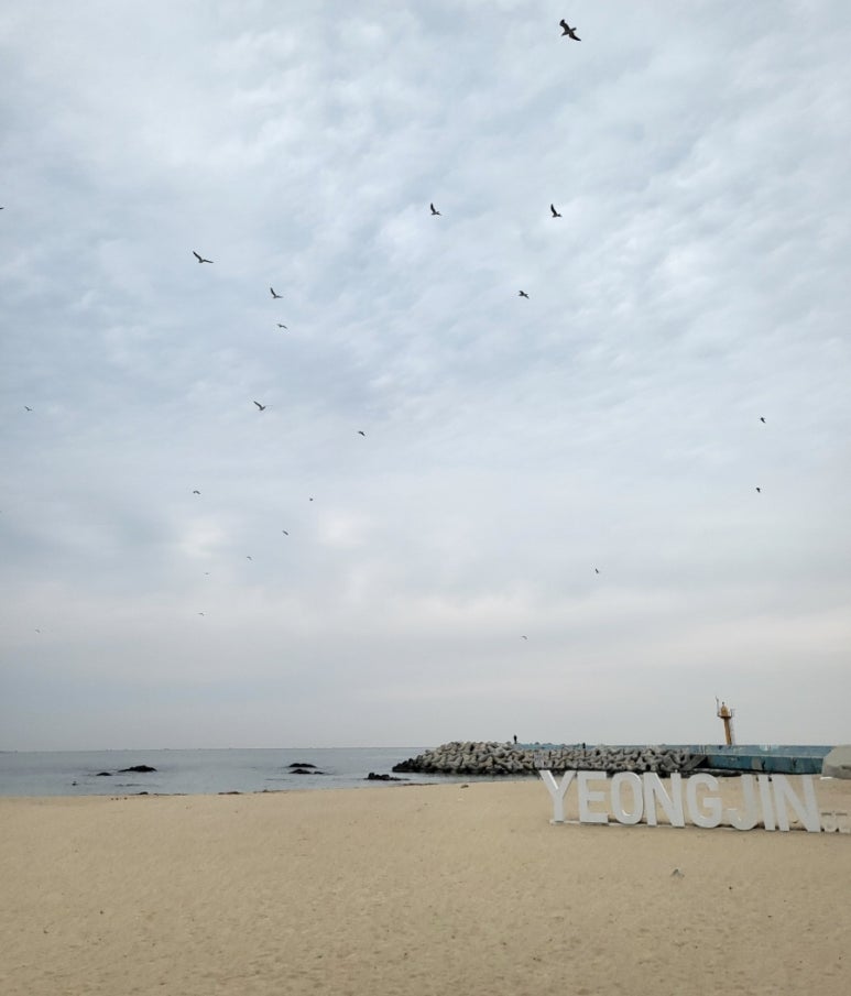 우주딸기 이미지