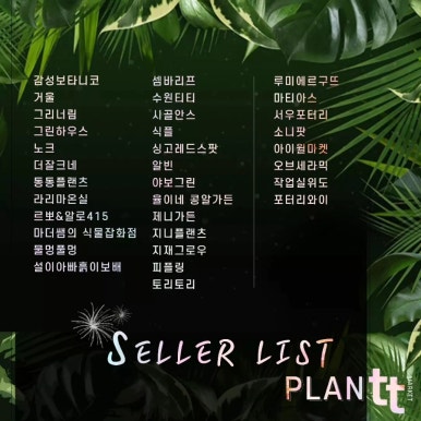 메르오르 이미지