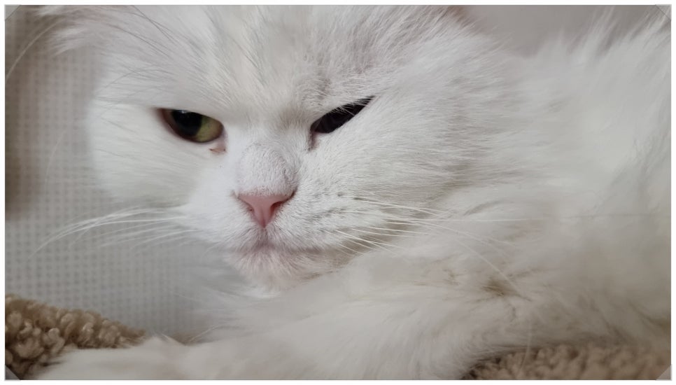 오메가미용실 이미지