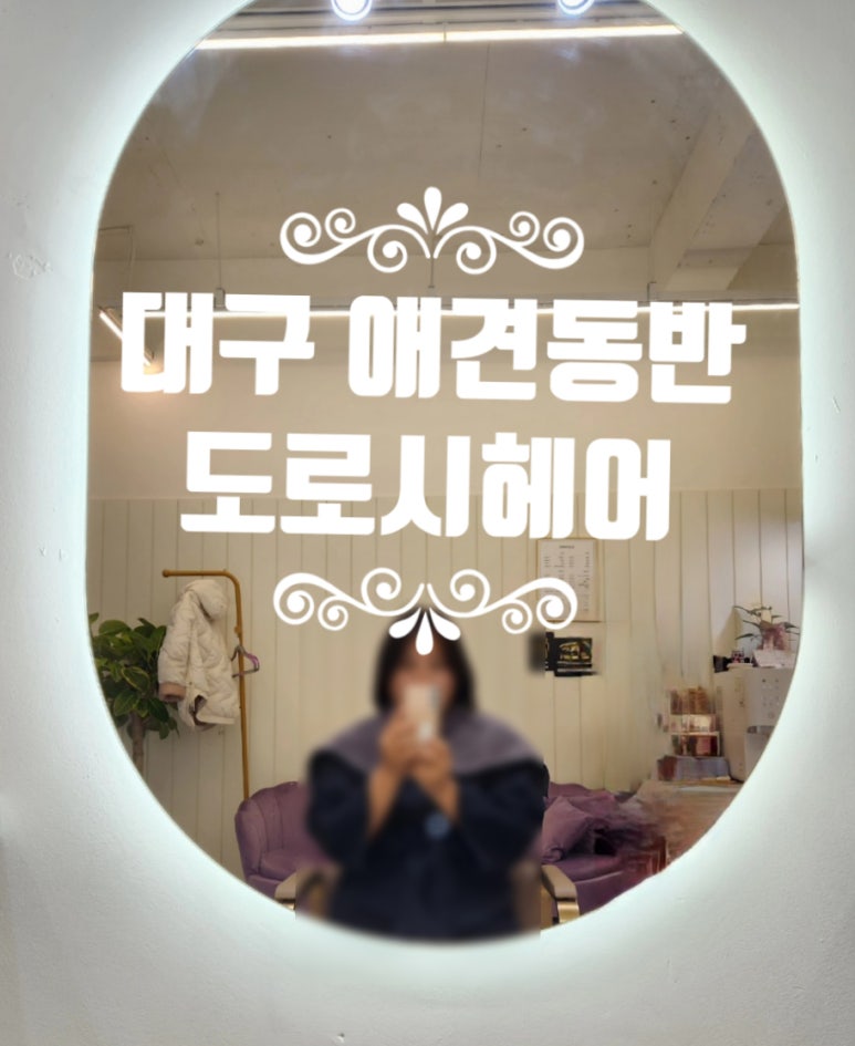 도로시 헤어샵 이미지