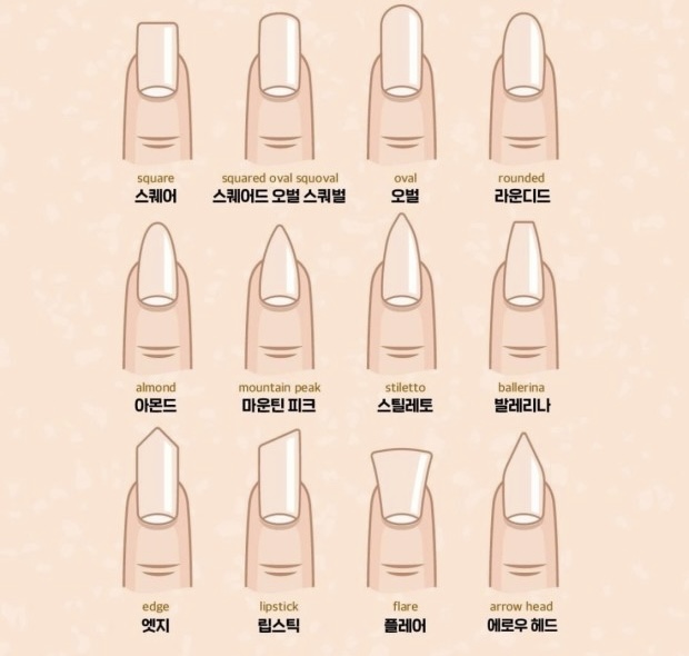 제니스네일 이미지