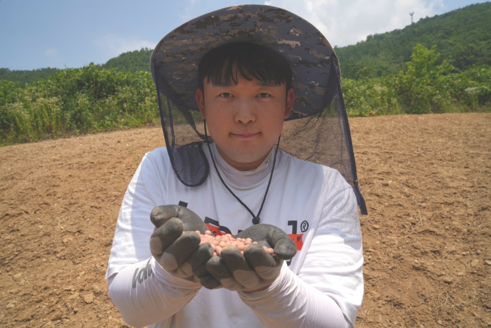 강릉콩밭 이미지
