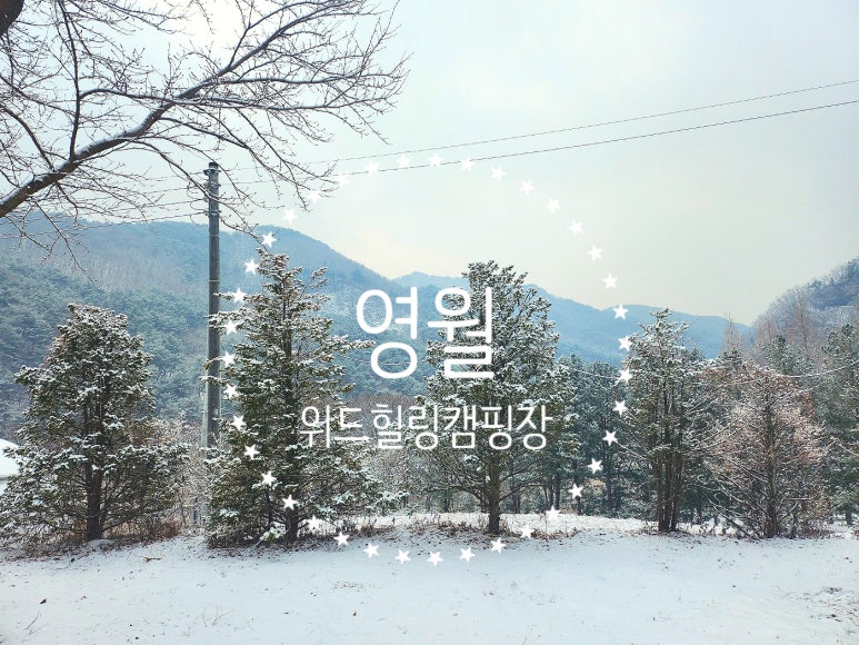 위드힐링 캠핑장 이미지
