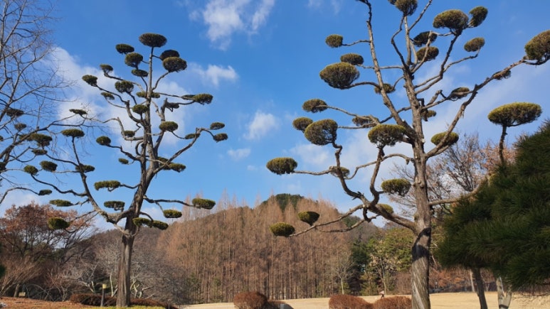 별장이용원 이미지