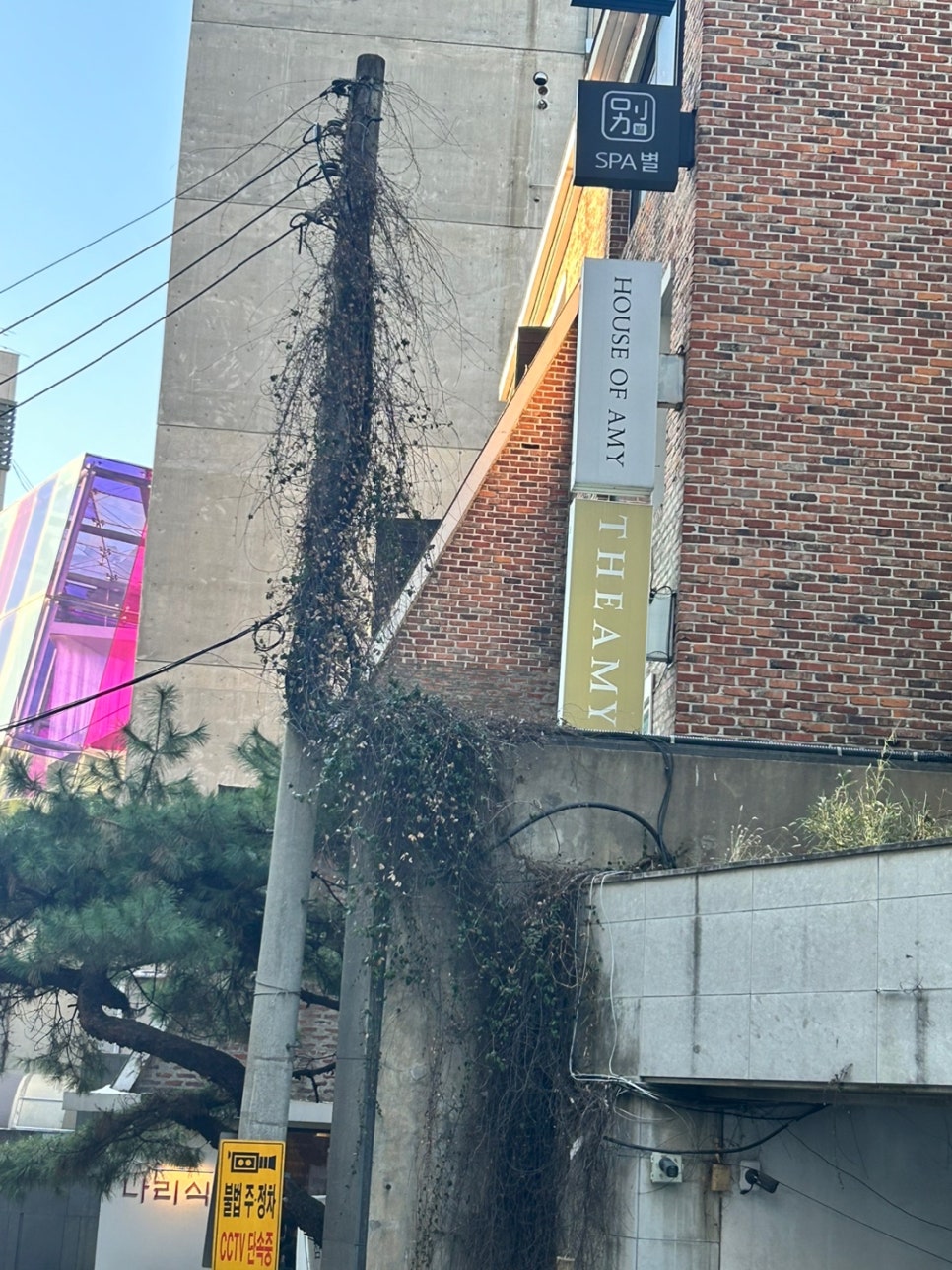 스튜디오하우스 이미지
