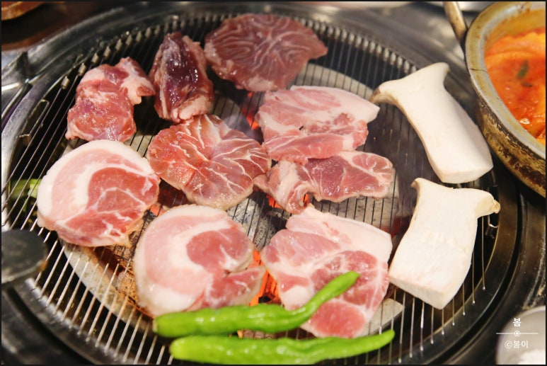 빽고기 이미지