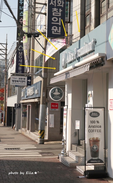 서화참의원 이미지
