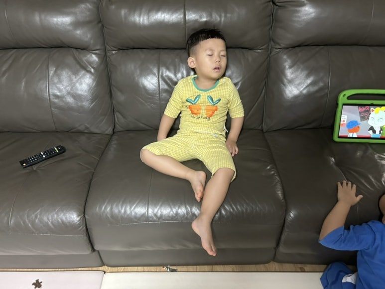 도톨나라 이미지
