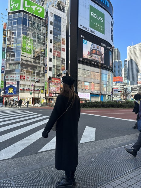 정 헤어랜드 이미지