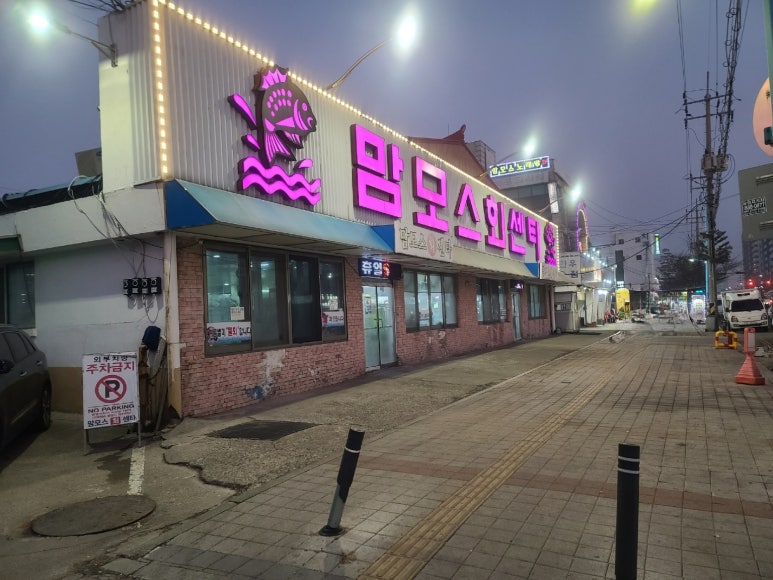 맘모스13호 이미지