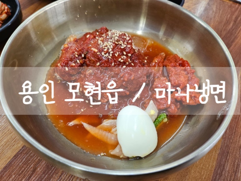 마나냉면 이미지