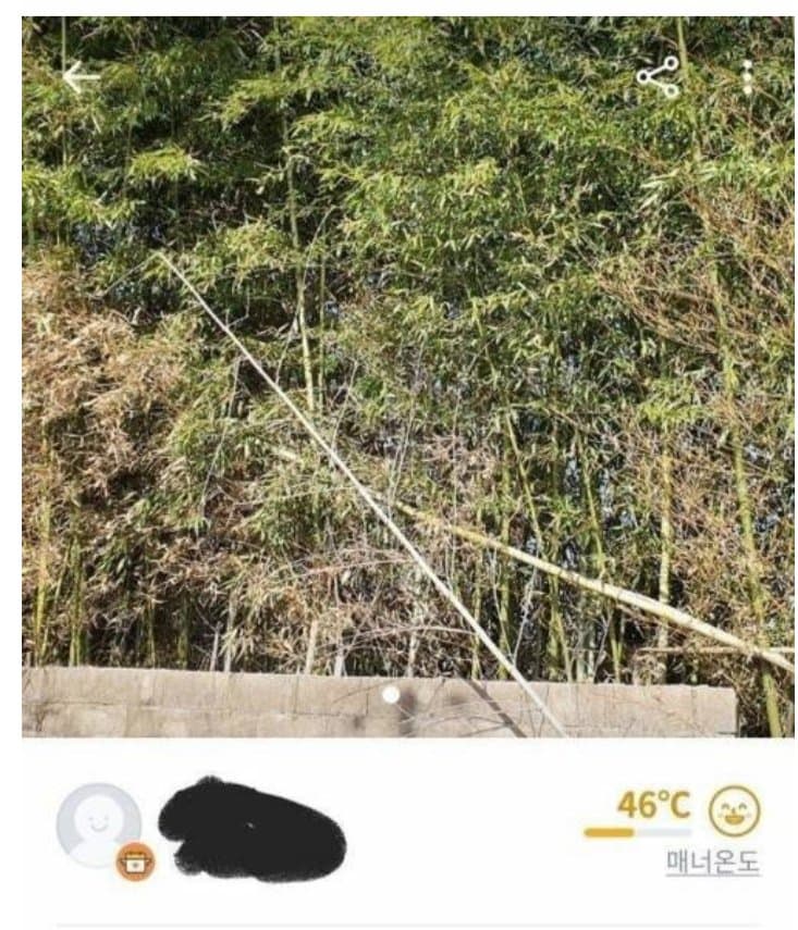시골마켓 이미지