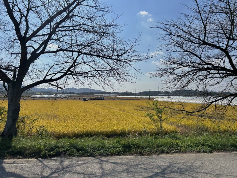 수궁얼큰돼지짬뽕 이미지