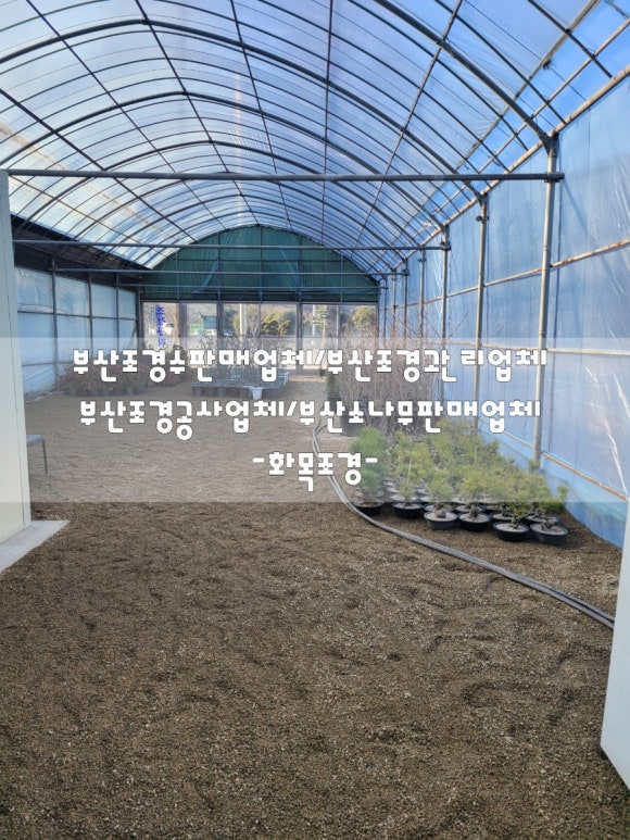 화목조경 이미지