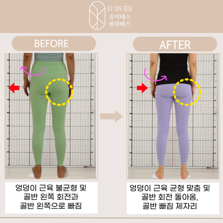 유이네스 이미지