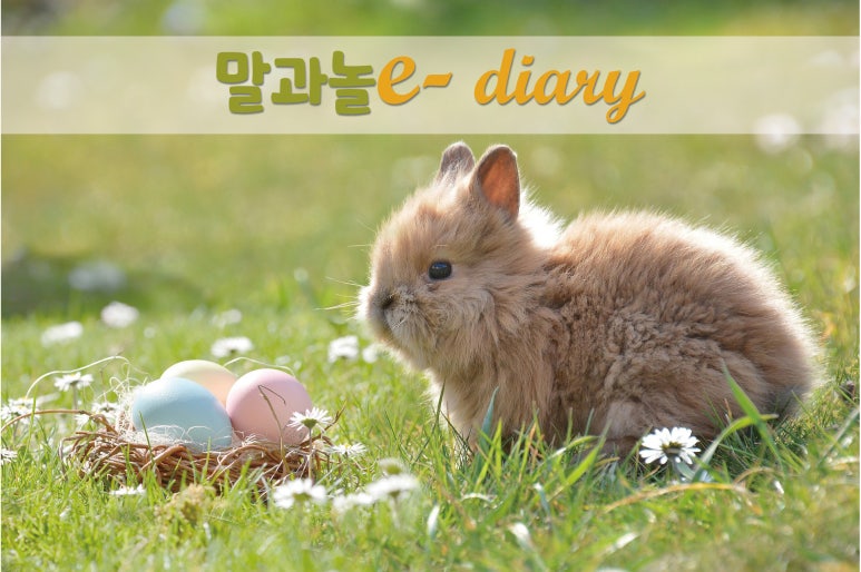 놀E 이미지