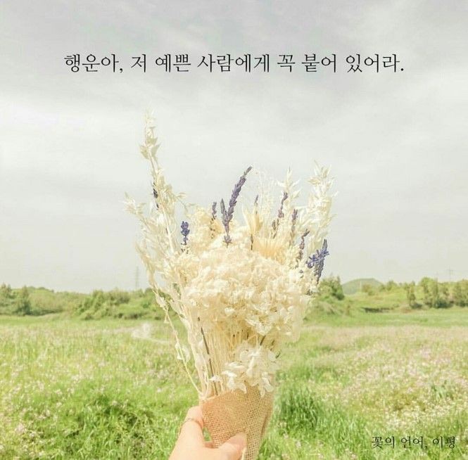 연꽃국수 이미지