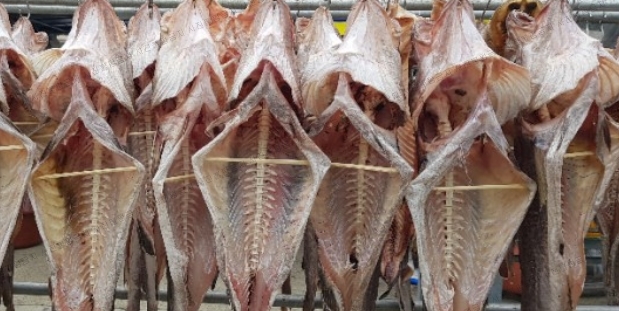 대운수산 이미지