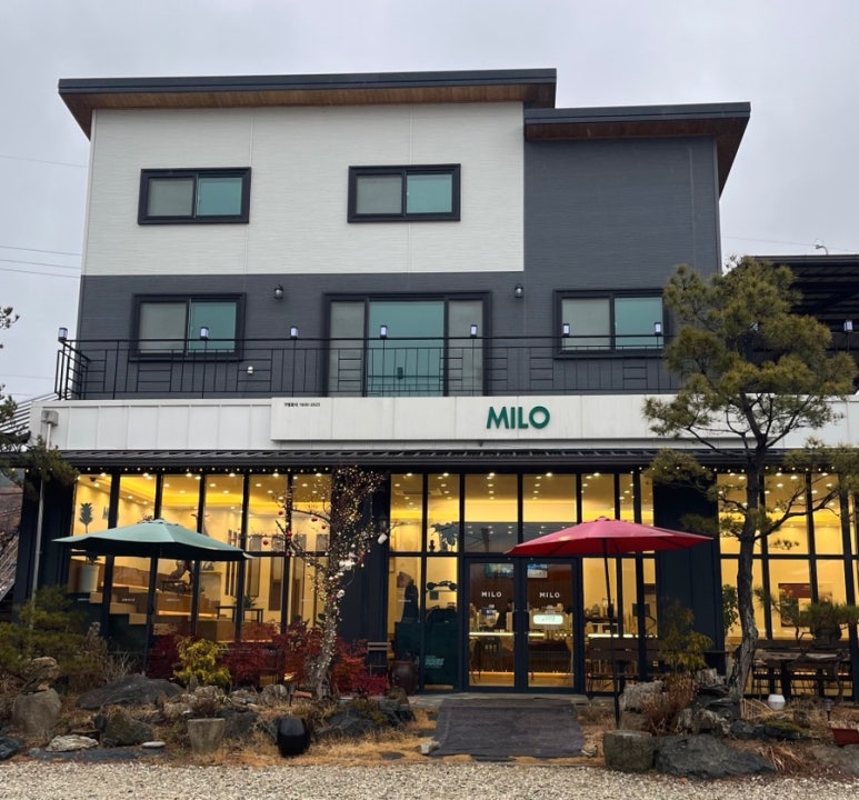 카페마일로(MILO) 이미지
