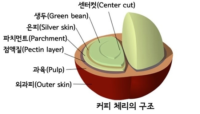 킨커피 이미지