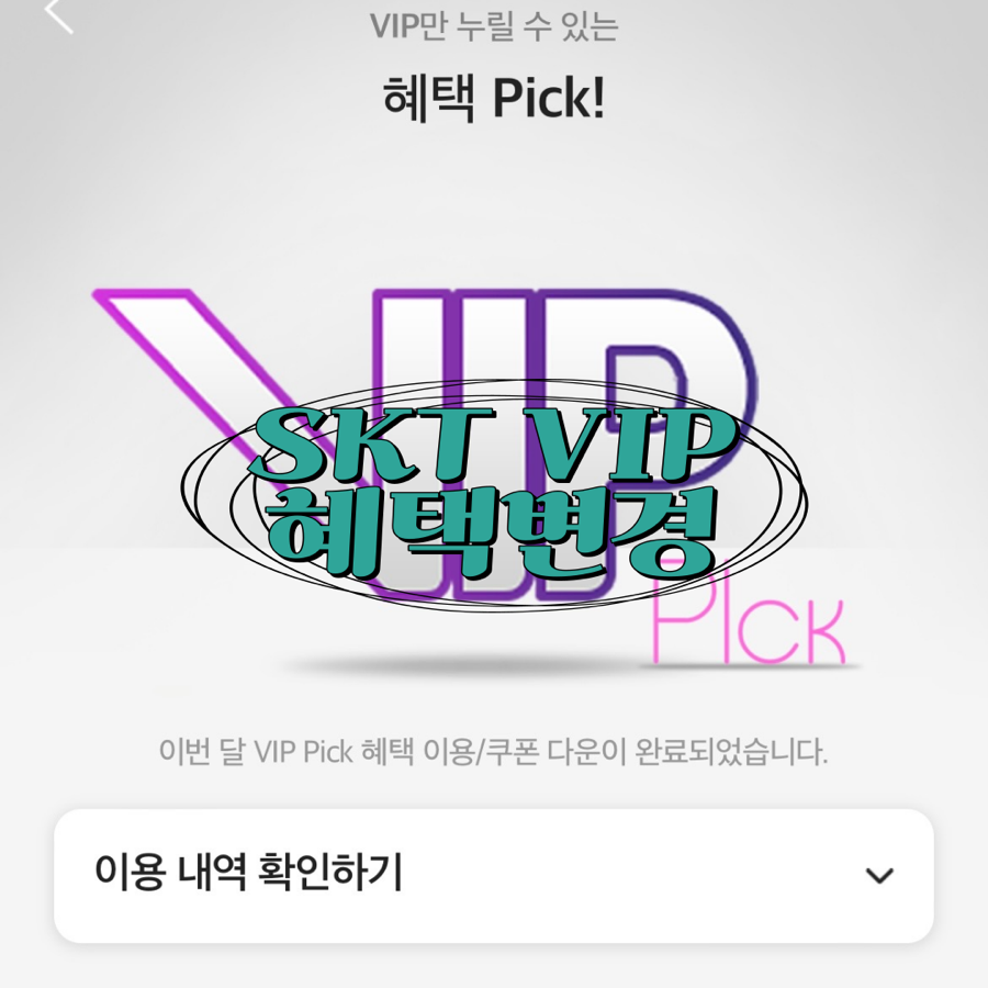 브이아이피텔레콤 이미지