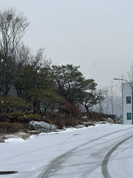 고수경샤브칼국수 이미지