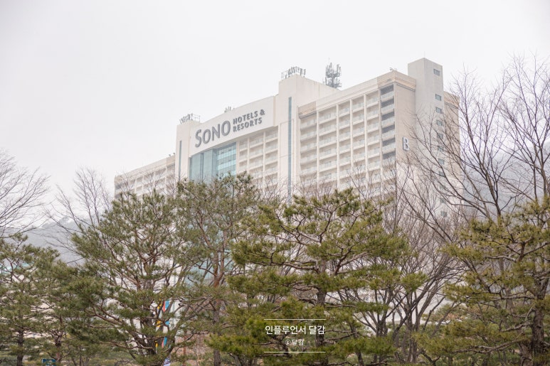 보험코칭아카데미 이미지