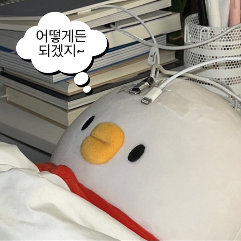 족발속으로 이미지