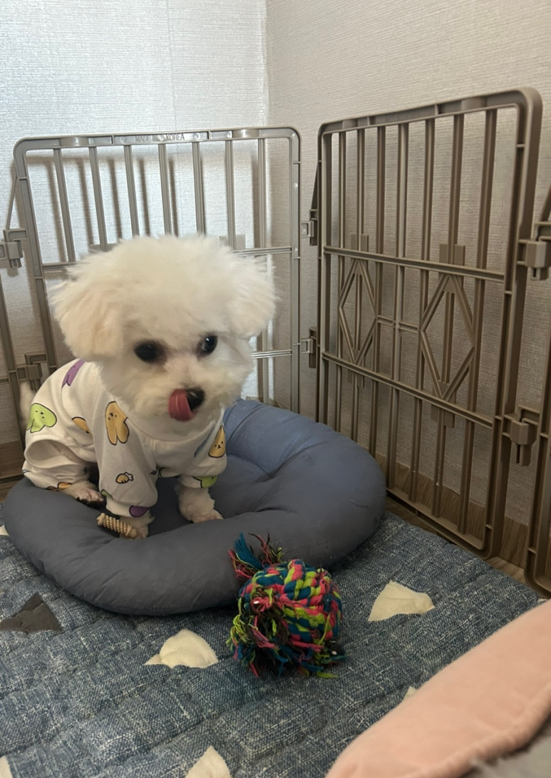 꾸름 이미지