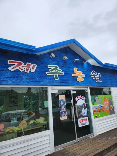 제주890 이미지