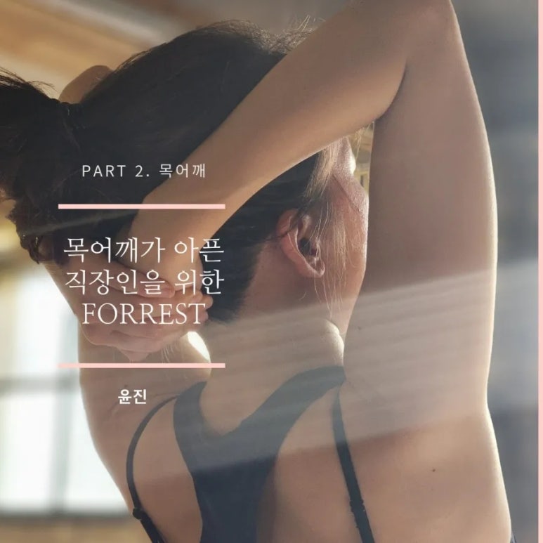 볼이너스 이미지