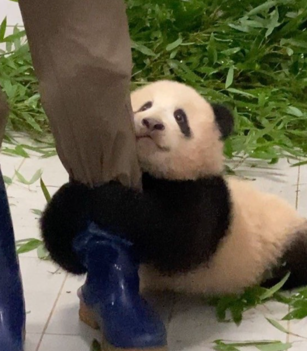 뚠뚜니네 이미지